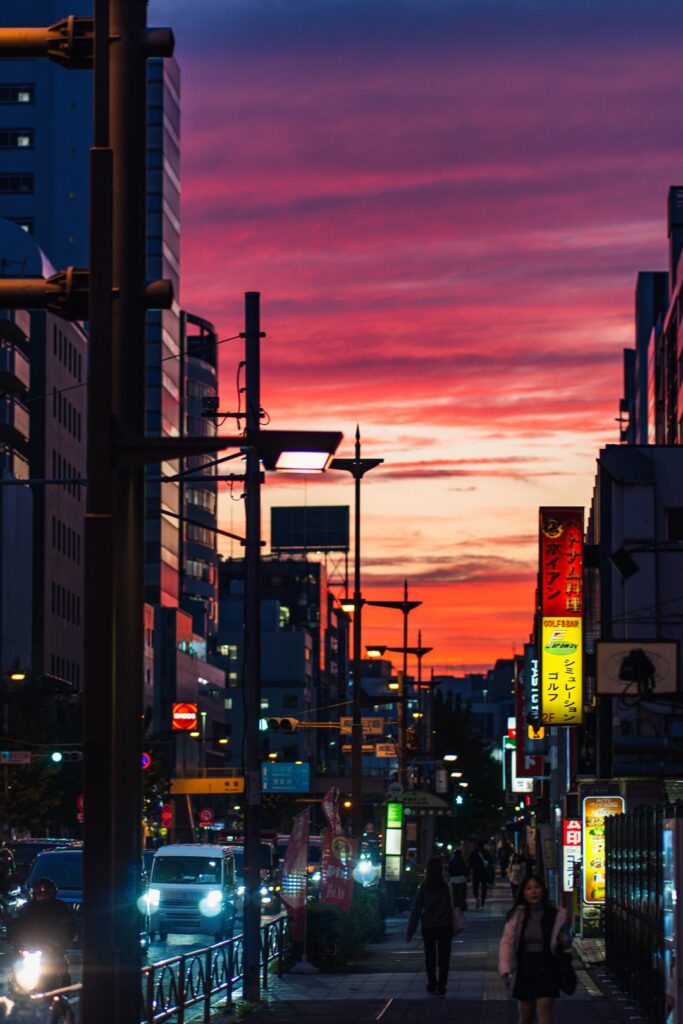 Tokyo Skies