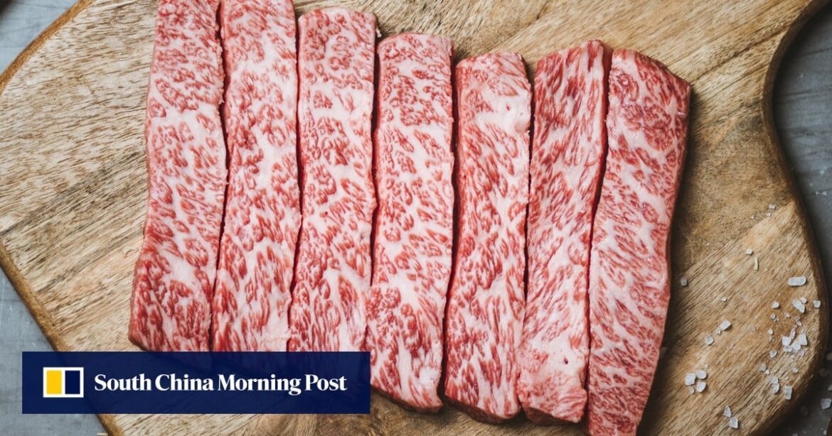 British Wagyu beef arrives in Hong Kong to challenge Japanese and Australian dominance British Wagyu beef arrives in Hong Kong to challenge Japanese and Australian dominance