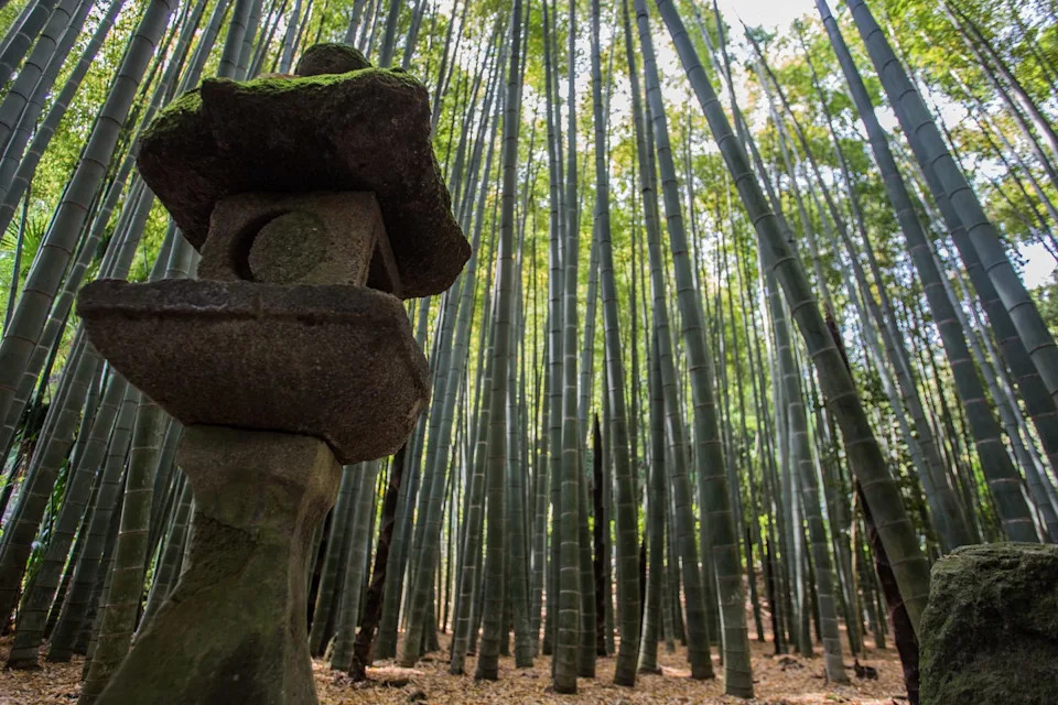 hokokuji bamboo garden, sometimes call