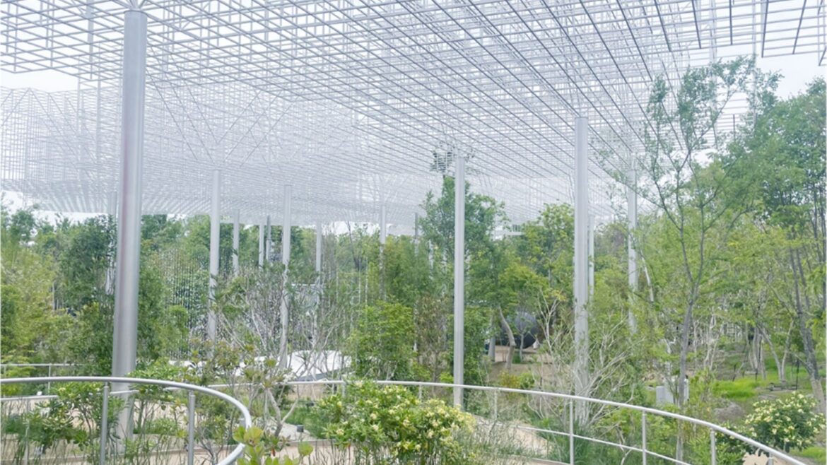 Structural engineering design for Better Co-Being Pavilion at Expo 2025 Osaka Structural engineering design for Better Co-Being Pavilion at Expo 2025 Osaka