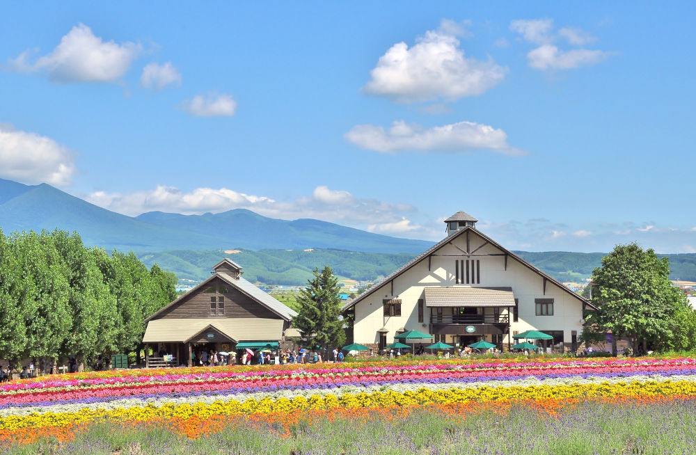 Tomita farm, Hokkaido, Japan.
