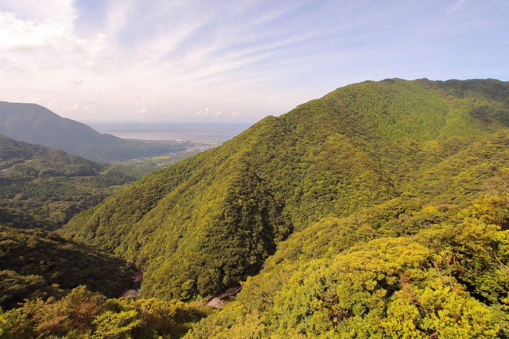 Yakushima Island