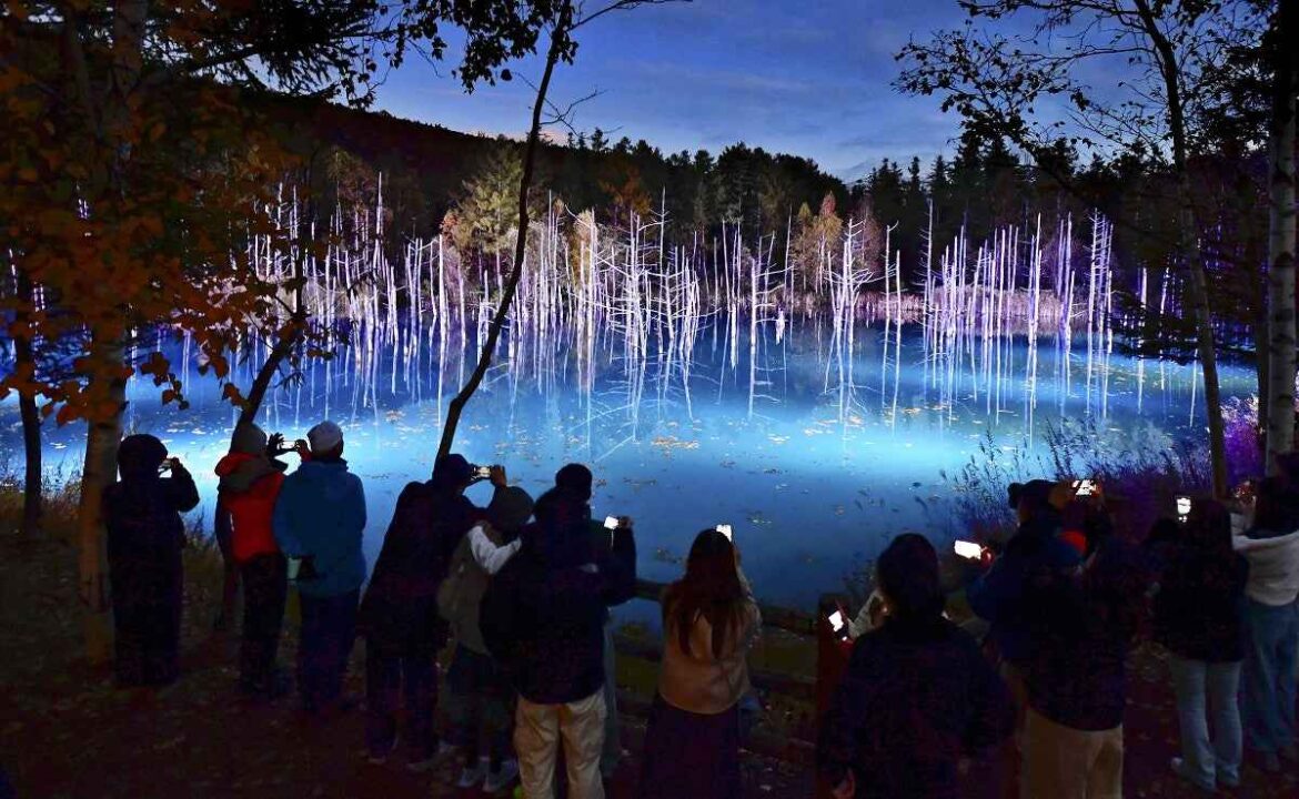 Blue Pond in Hokkaido Lit Up for Winter Creating Scene out of Fantasy Movie Blue Pond in Hokkaido Lit Up for Winter Creating Scene out of Fantasy Movie