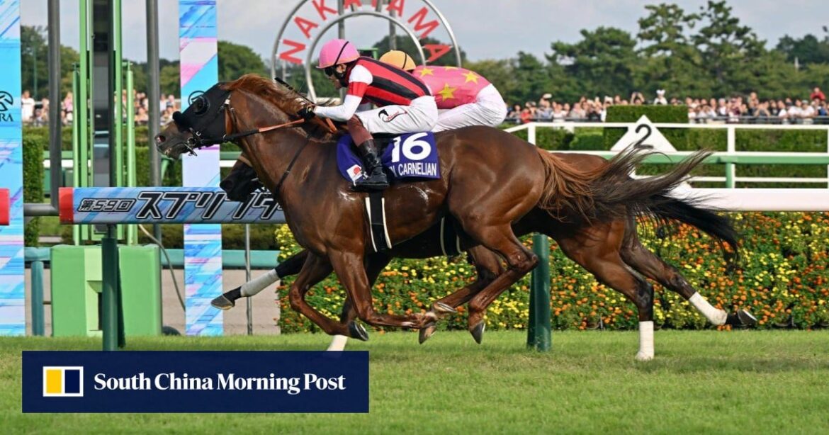 Derek Leung bemoans unsuitable trip and fast pace after Lucky Sweynesse’s Sprinters Stakes defeat | HK Racing