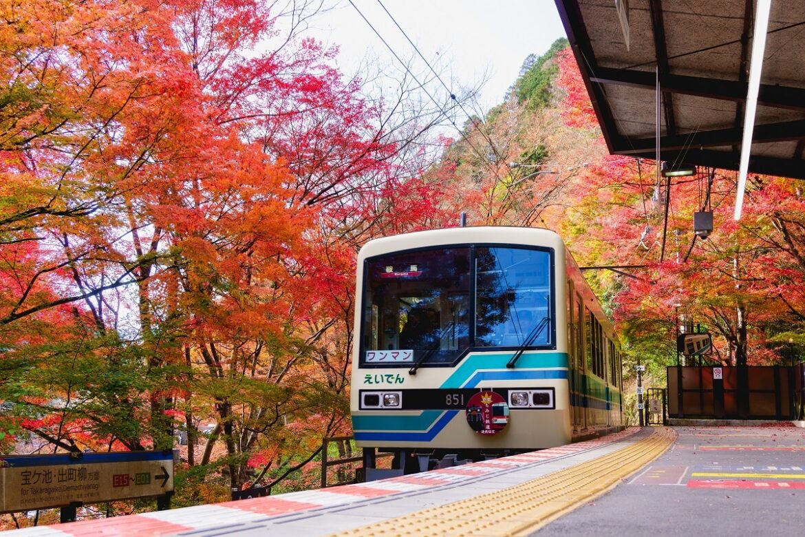 Aussie's looking for autumn adventures can head to Japan for its world-renowned rail network