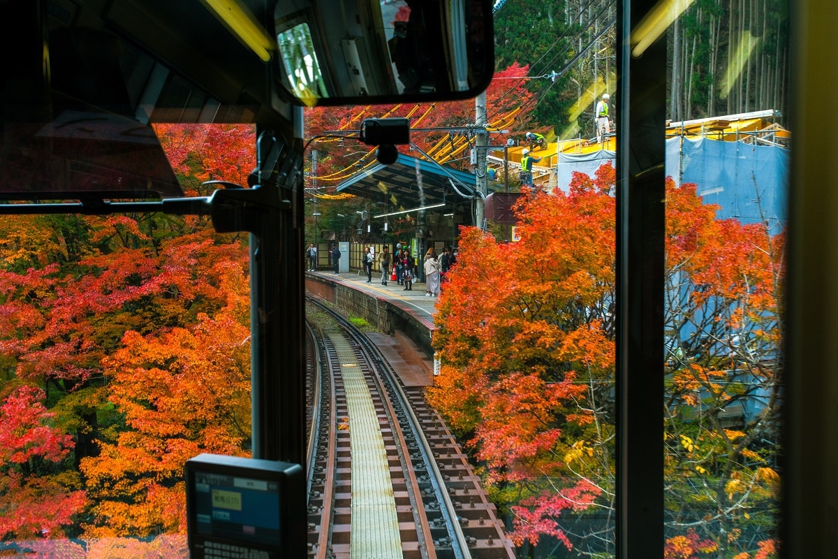 Kyoto Prefecture.