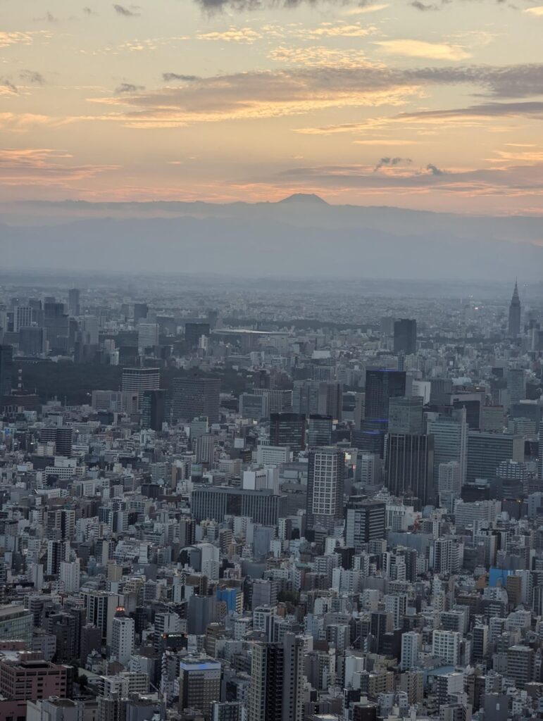Why I think Tokyo Sky Tree is absolutely worth it (if the weather is clear)