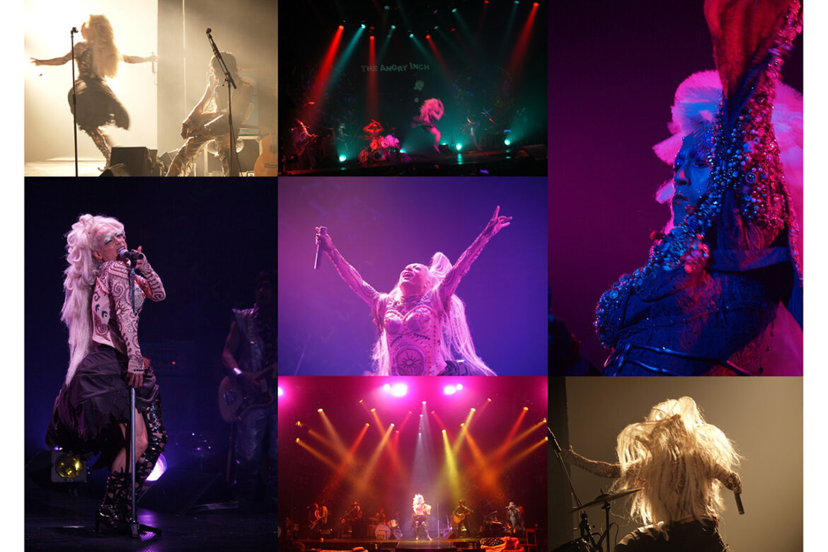 Hiroshi Mikami's Hedwig is back in a live version! HIROSHI MIKAMI/ HEDWIG AND THE ANGRY INCH [LIVE]" / Kyoto Theater