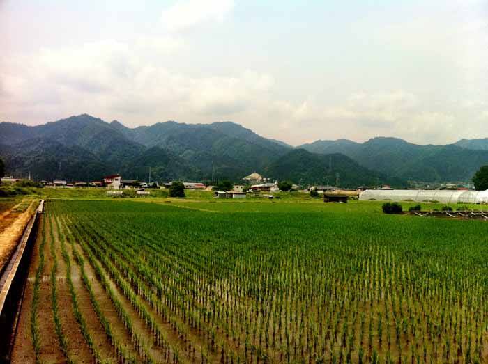 Cycling through the Hida countryside surrounding Takayama
