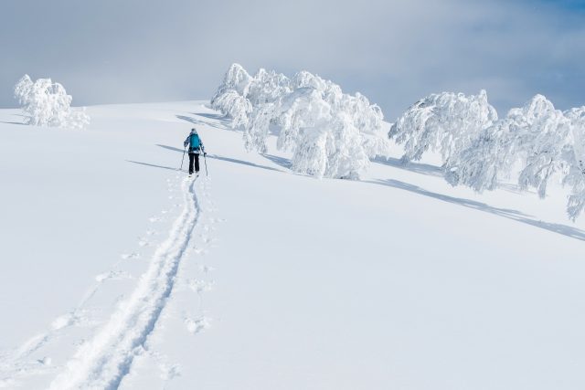 Tokyo Confidential taps into booming Japanese ski tourism with new venue