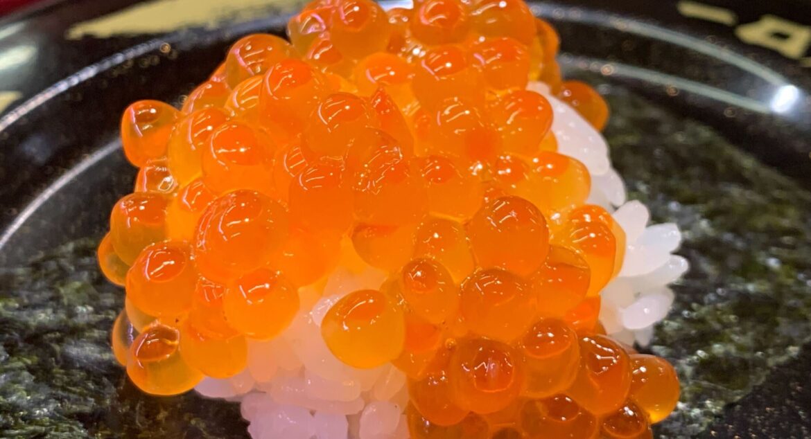 Japan's Hokkaido chum catch to hit record low again with 'ikura' prices seen doubling