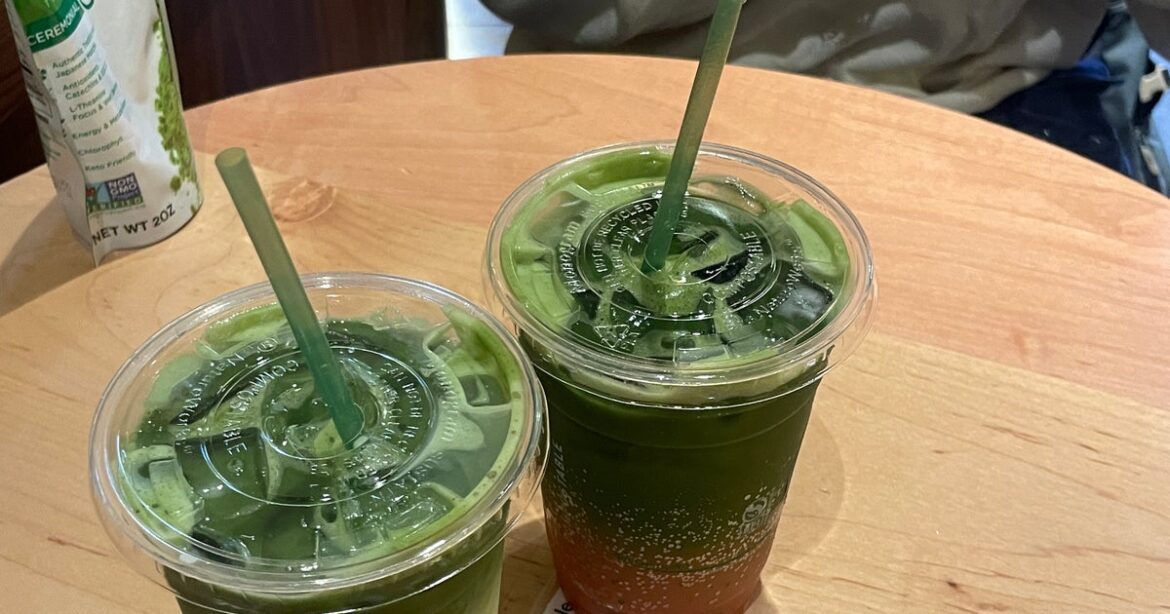 The Tokyo Travel Guide for Performative Males The Tokyo Travel Guide for Performative Males