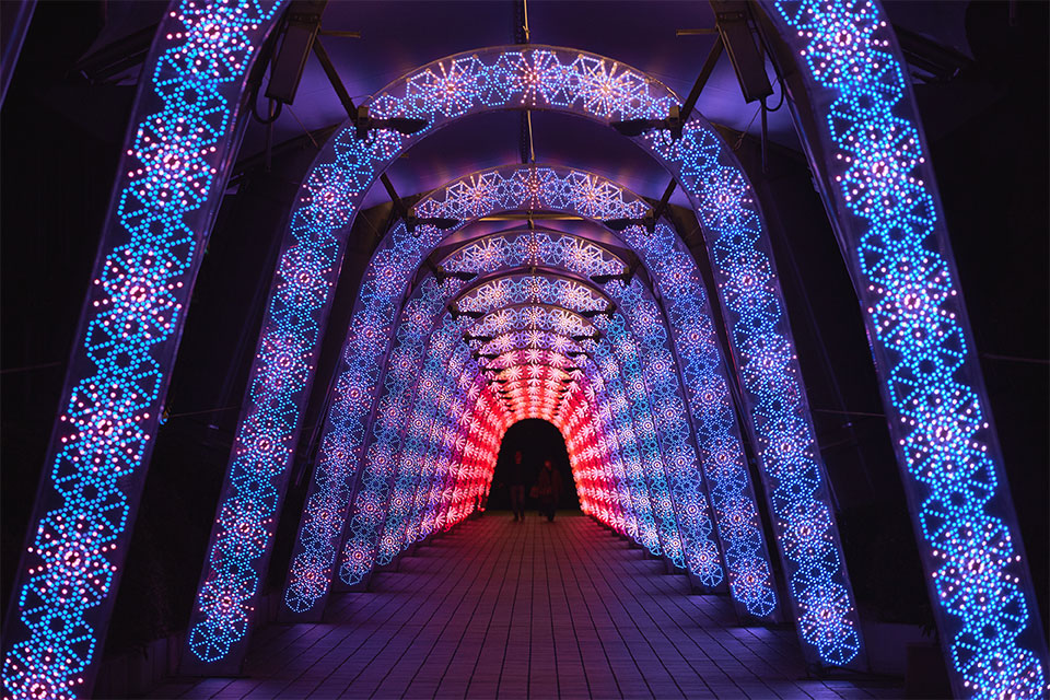 2022 -2023 Winter Illumination Guide