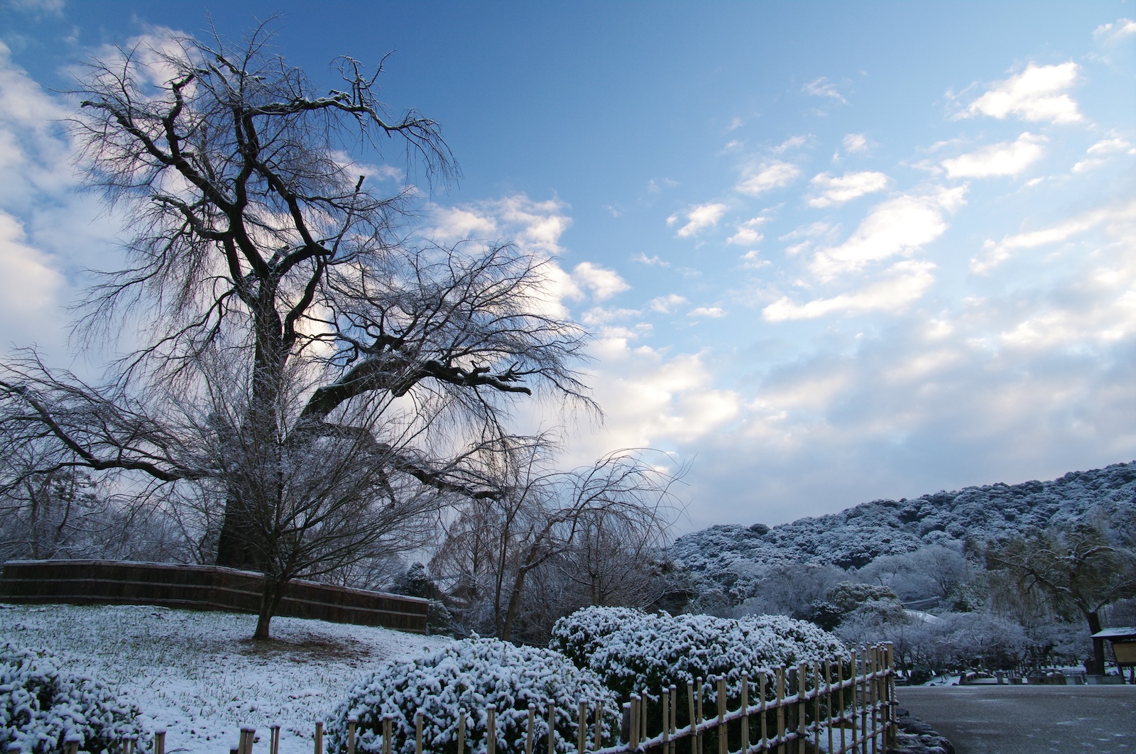 maruyama-park_kei-pixta_42660114_m.jpeg