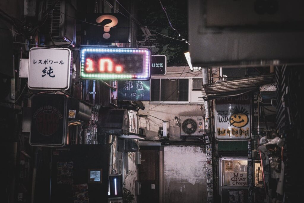 Kabukicho & Golden Gai Alleyways