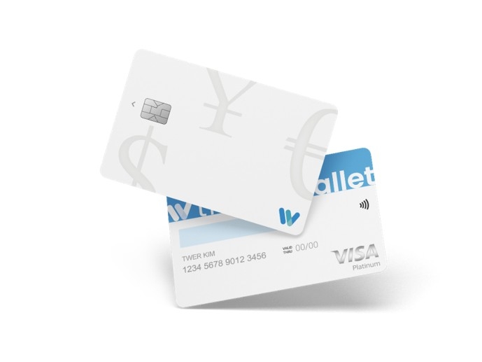 Travel wallet card [photo source = Travel wallet]