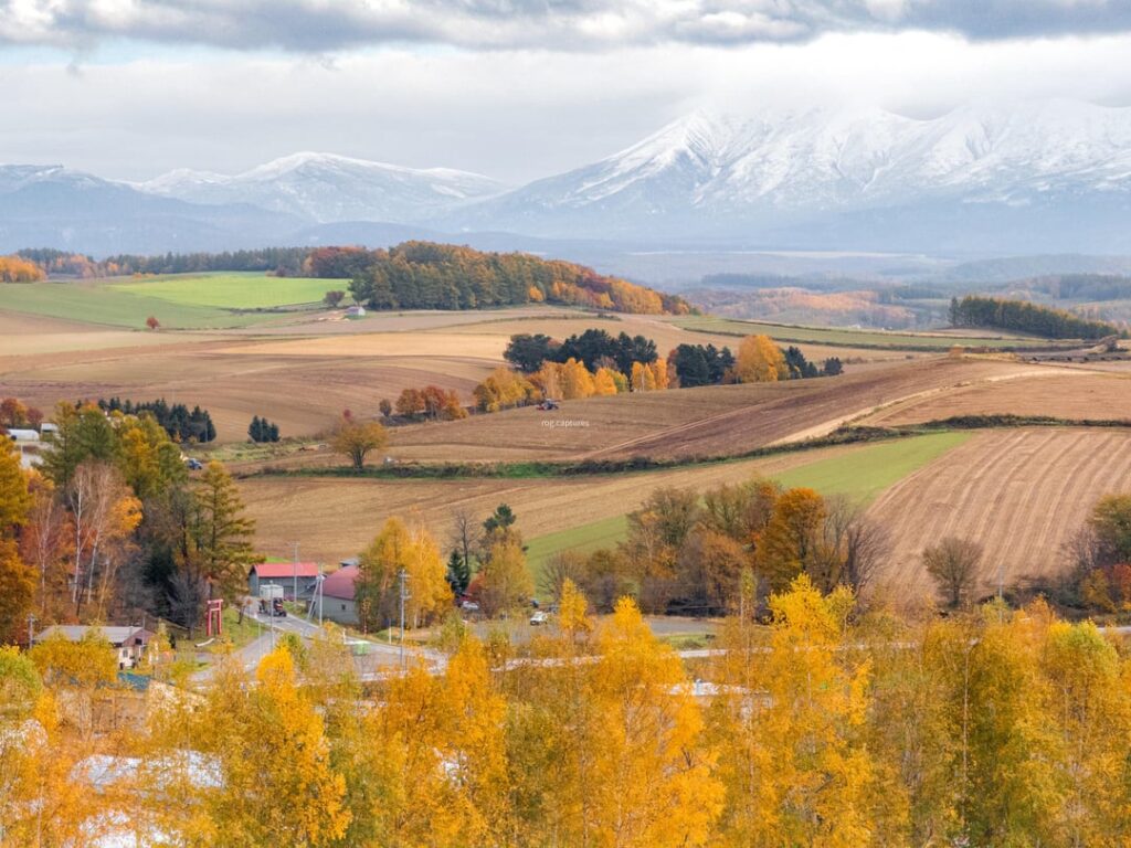 Shikisai-no-oka Biei, Hokkaido Autumn Vibe