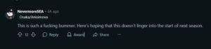 Screengrab of a Reddit comment