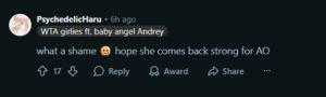 Screengrab of a Reddit comment