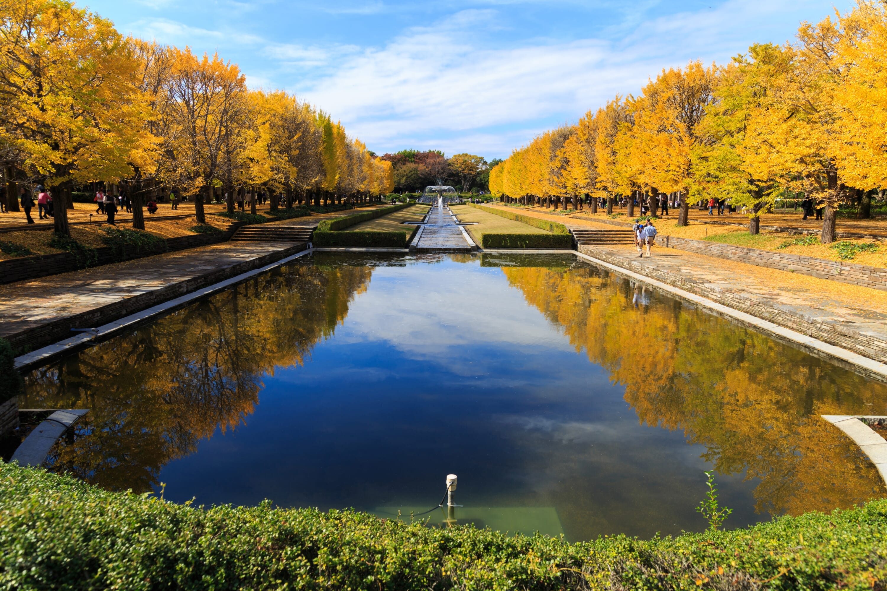 showa kinen park