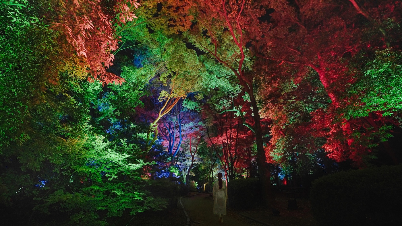 teamLab Botanical Garden Osaka