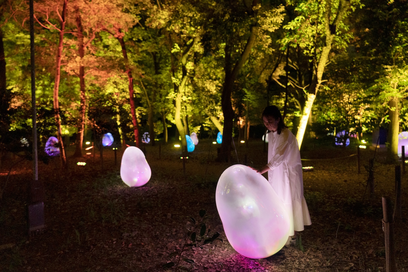 teamLab Botanical Garden Osaka