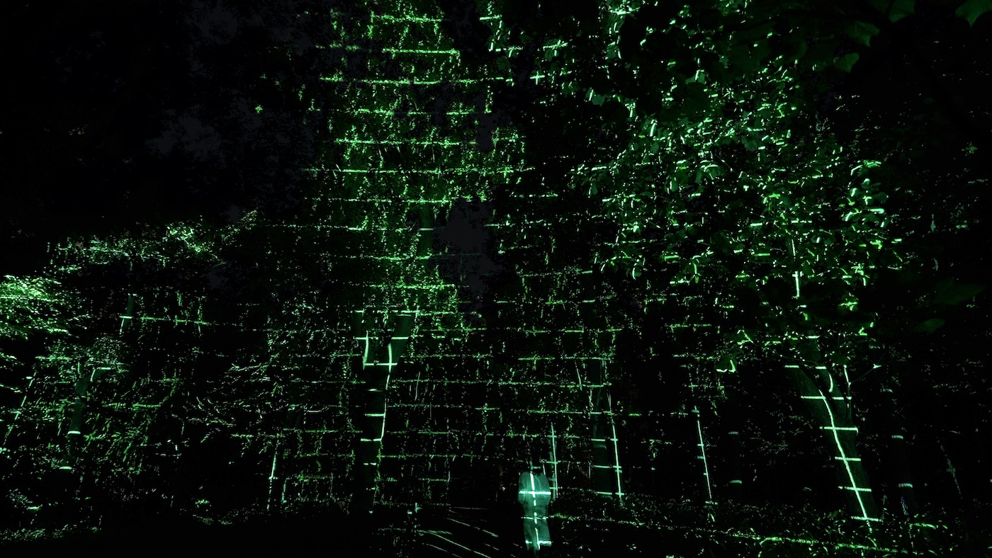 teamLab Botanical Garden Osaka