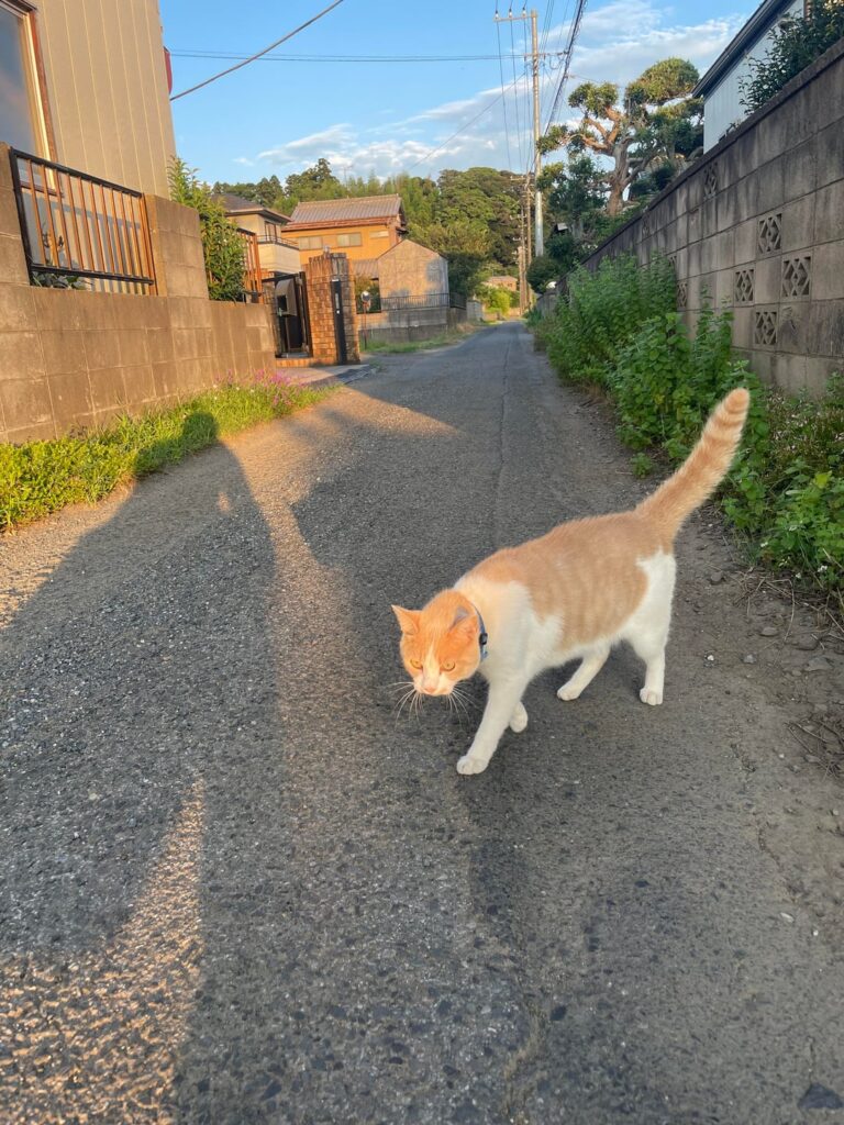 Katori, Chiba Prefecture
