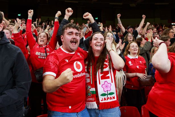 Wales fans during the match as the atmosphere soared
