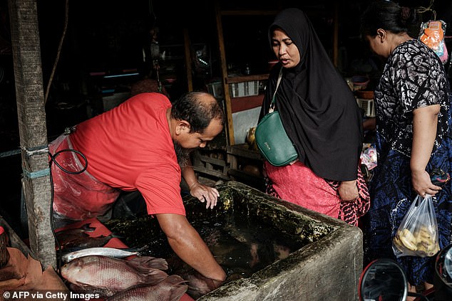 A fish vendor reaches into a tank to catch a fish for a customer at a roadside stall in Jakarta on November 8, 2025