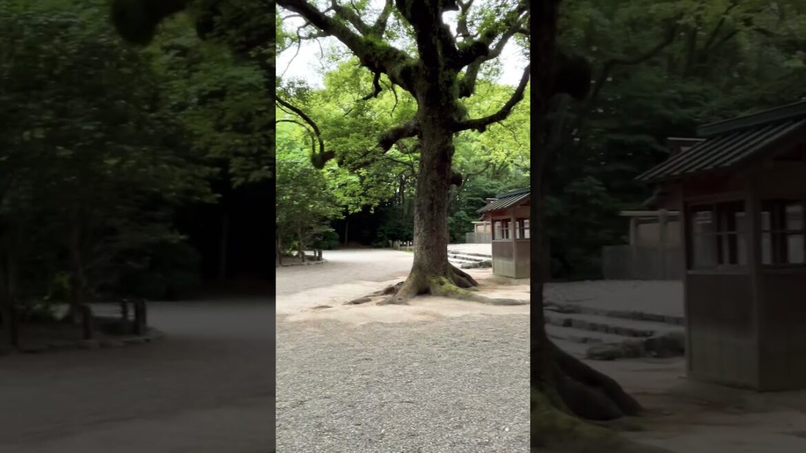 【NAGOYA】Must-See Tourist Attraction - Atsuta Jingu Shrine