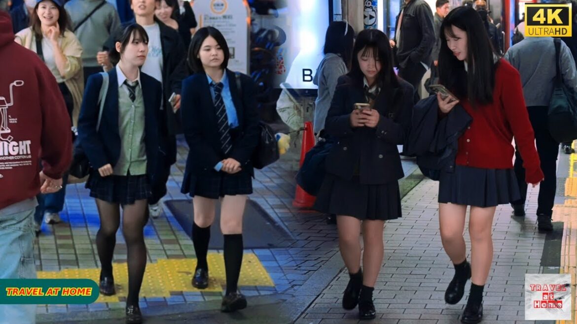 4K HDR Japan travel 2025 | Walk in Shinjuku（新宿）Tokyo Japan |Relaxing Natural City ambience