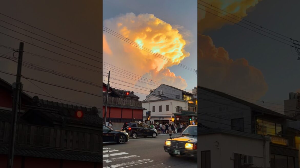 “How was Japan?” ✈️🇯🇵