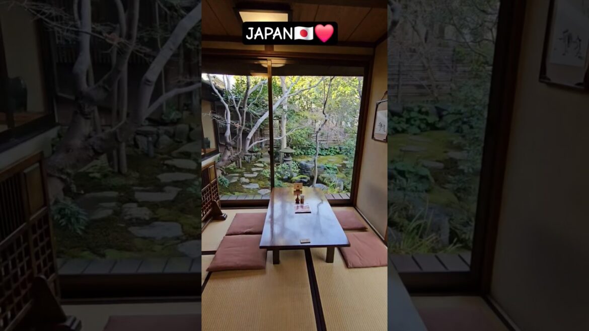 YANAGAWA, JAPAN🇯🇵❤️Day Trip frim FUKUOKA #japan #travel #fukuoka #yanagawa