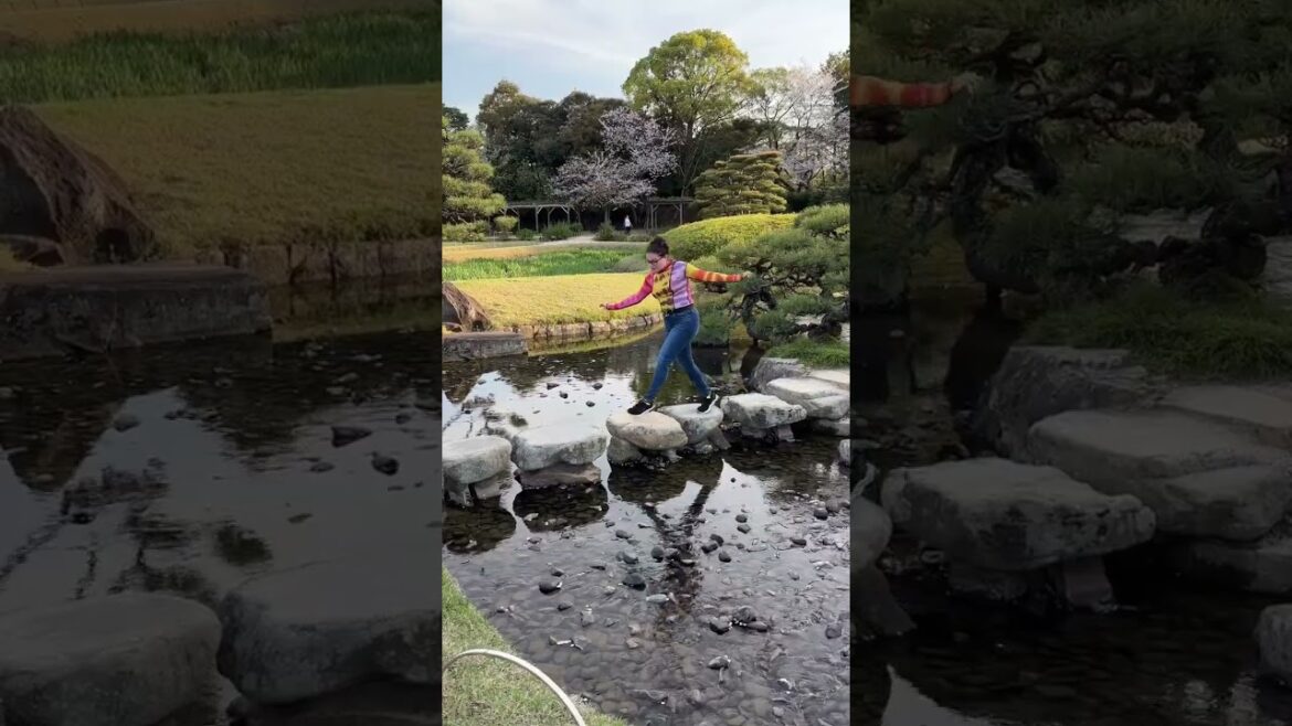 Okayama Korakuen Garden, how beautiful! #okayama #japanvlog