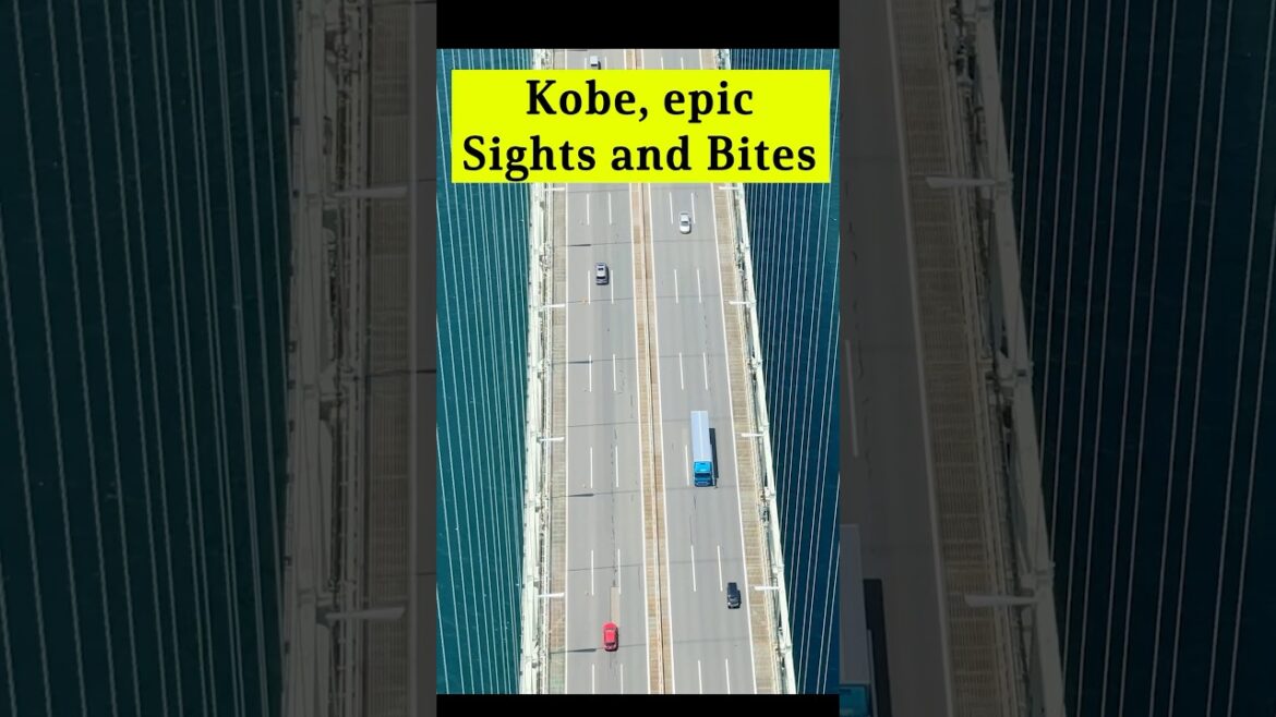 Epic Kobe tour w/ Kobe Beef #japanesefood #wagyu #japantravel #japantrip