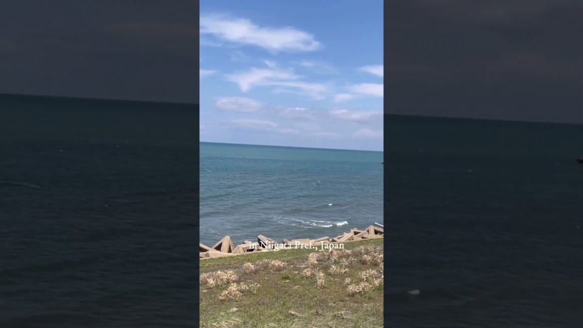 Somewhere around the globe #shorts#niigatajapan