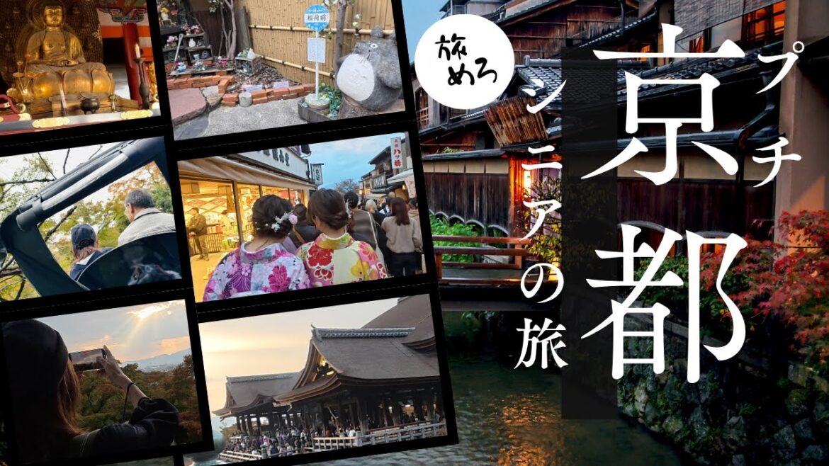 [京都観光]  シニア旅行/清水寺/人力車/寧々の道/八坂神社/どんぐり共和国/