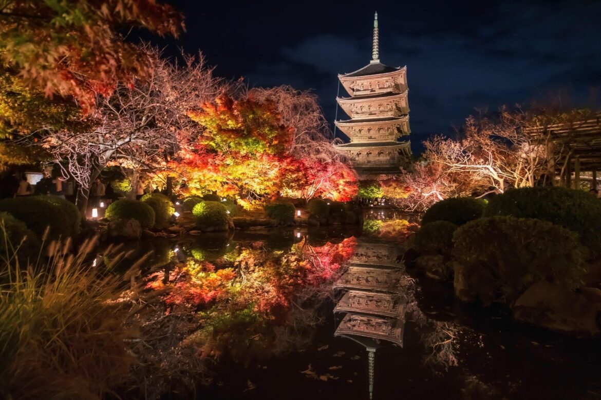 Best Kyoto temples and gardens for autumn night illuminations