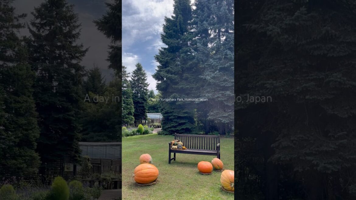 Yurigahara Park in Hokkaido Japan is so beautiful and well maintained. Perfect for everyone!💕 Yurigahara Park in Hokkaido Japan is so beautiful and well maintained. Perfect for everyone!💕