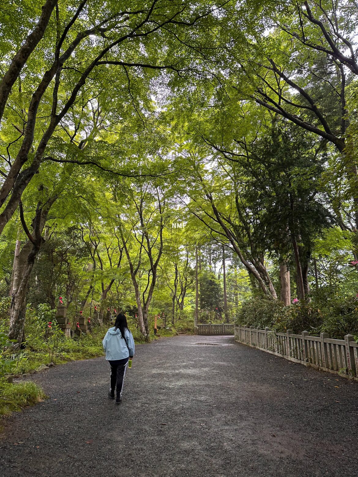 Quiet Walk in Hachioji