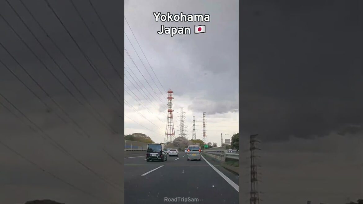 Dinner tonight in Yokohama 🇯🇵 #travel #driving #japan #pov