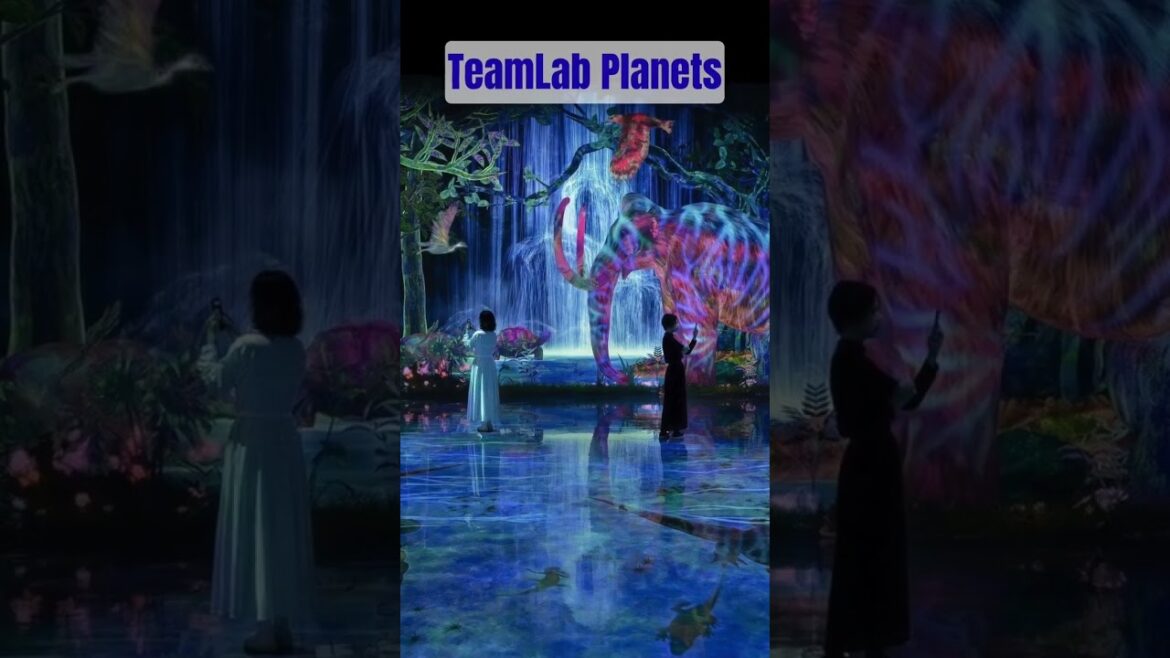 🌸 Blooming Japan Awaits! | Cherry Blossom Tour 2026 🇯🇵