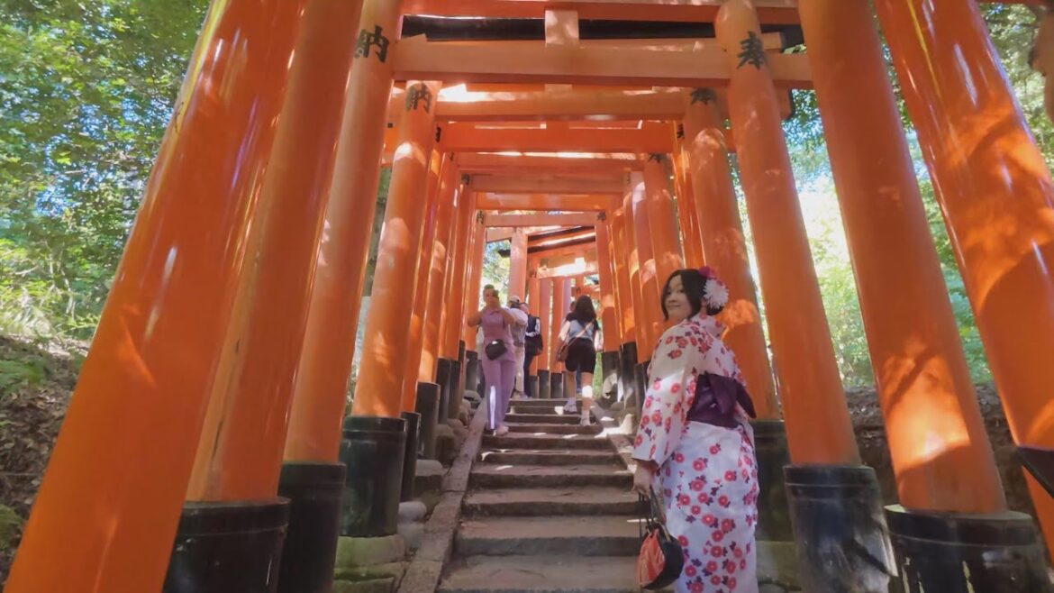 千本鳥居 walking to the Top of Senbon Torii (Thousand Torii Gates)