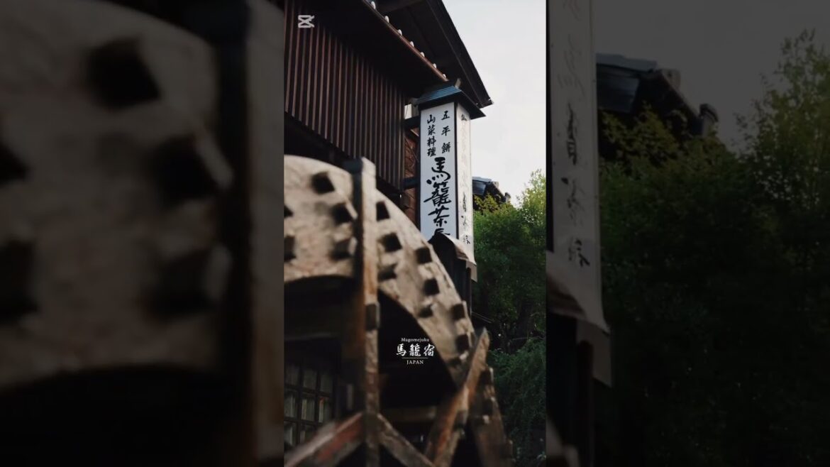 Morning in Magomejuku, Gifu 🇯🇵 #nature #naturelovers #japan #japanese #japantravel #morning #sunrise