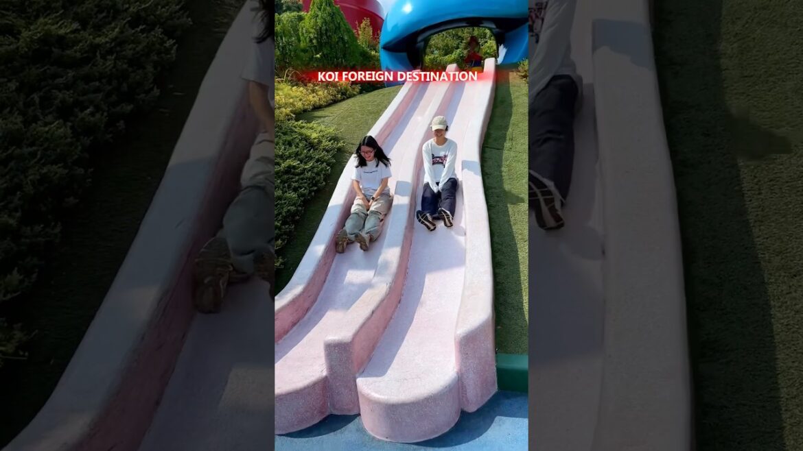 Japan Tour Budget #japan #japantour #japantrip