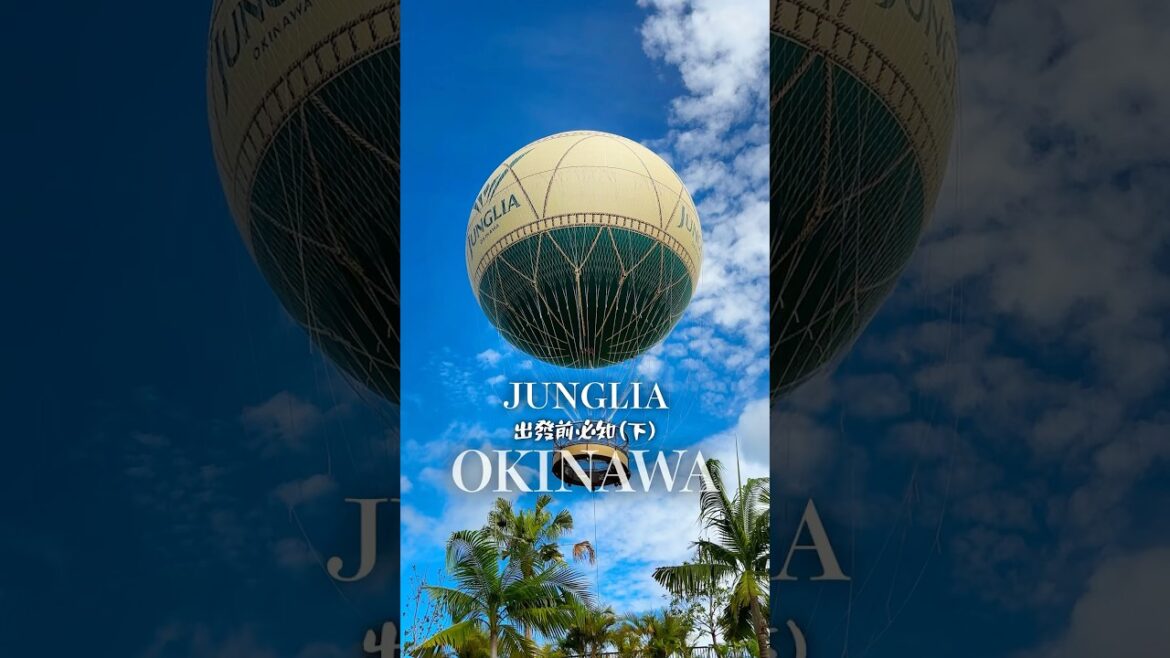 JUNGLIA叢林樂園出發前必知六件事🦕 行く前に知っておくべき6つの事 #shorts #nittaione #台日夫婦 #日本自由行 #沖繩旅遊 #junglia叢林樂園 #junglia