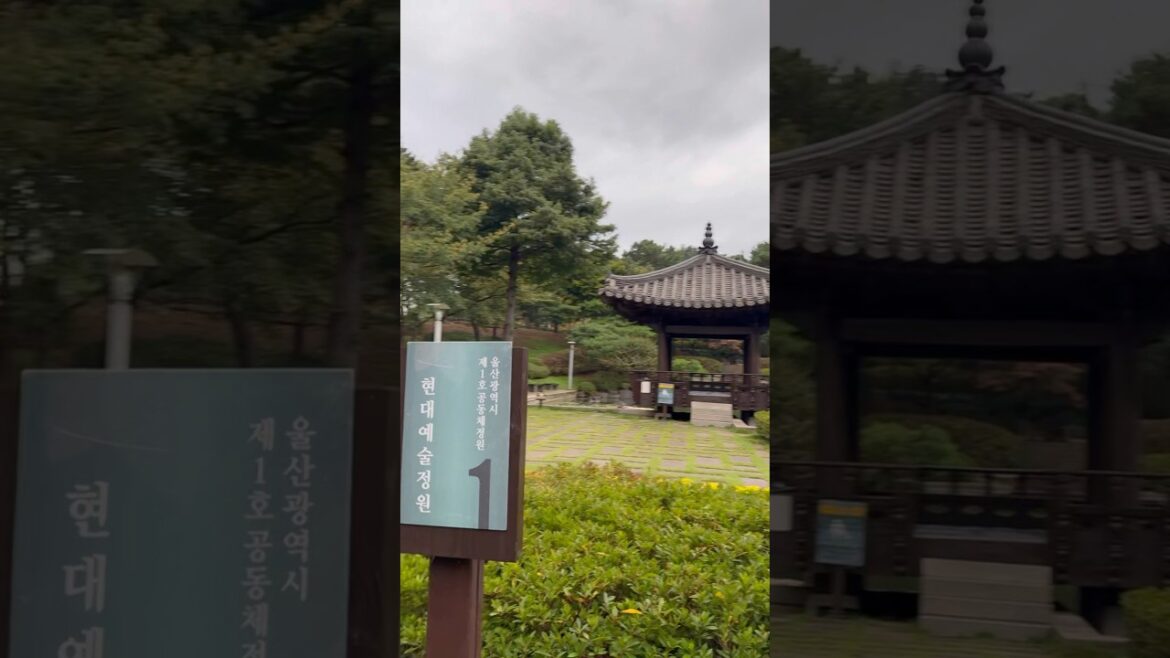 Autumn in Japan #omg #music #travel #japan #fukuoka