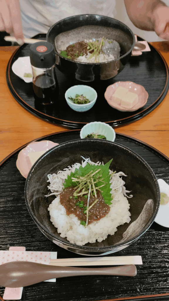 Whitebait rice bowl aka Shirasu don