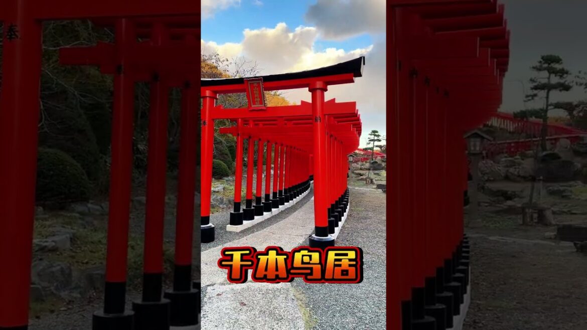 青森旅游必逛的6个景点#青森 #奧入瀨溪流 #日本東北 #日本旅遊 #日本旅游